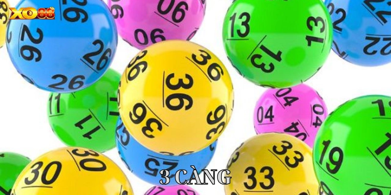 Tất tần tật về 3 Càng