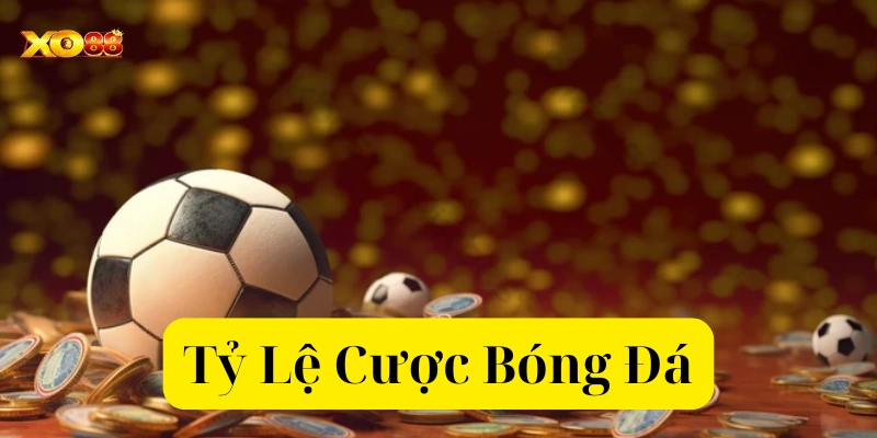 Các kèo cơ bản