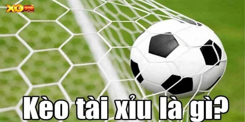 Thắng lớn với cách đánh tài xỉu bóng đá luôn thắng