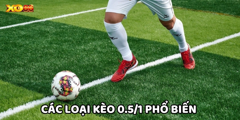 Các loại kèo cược phổ biến